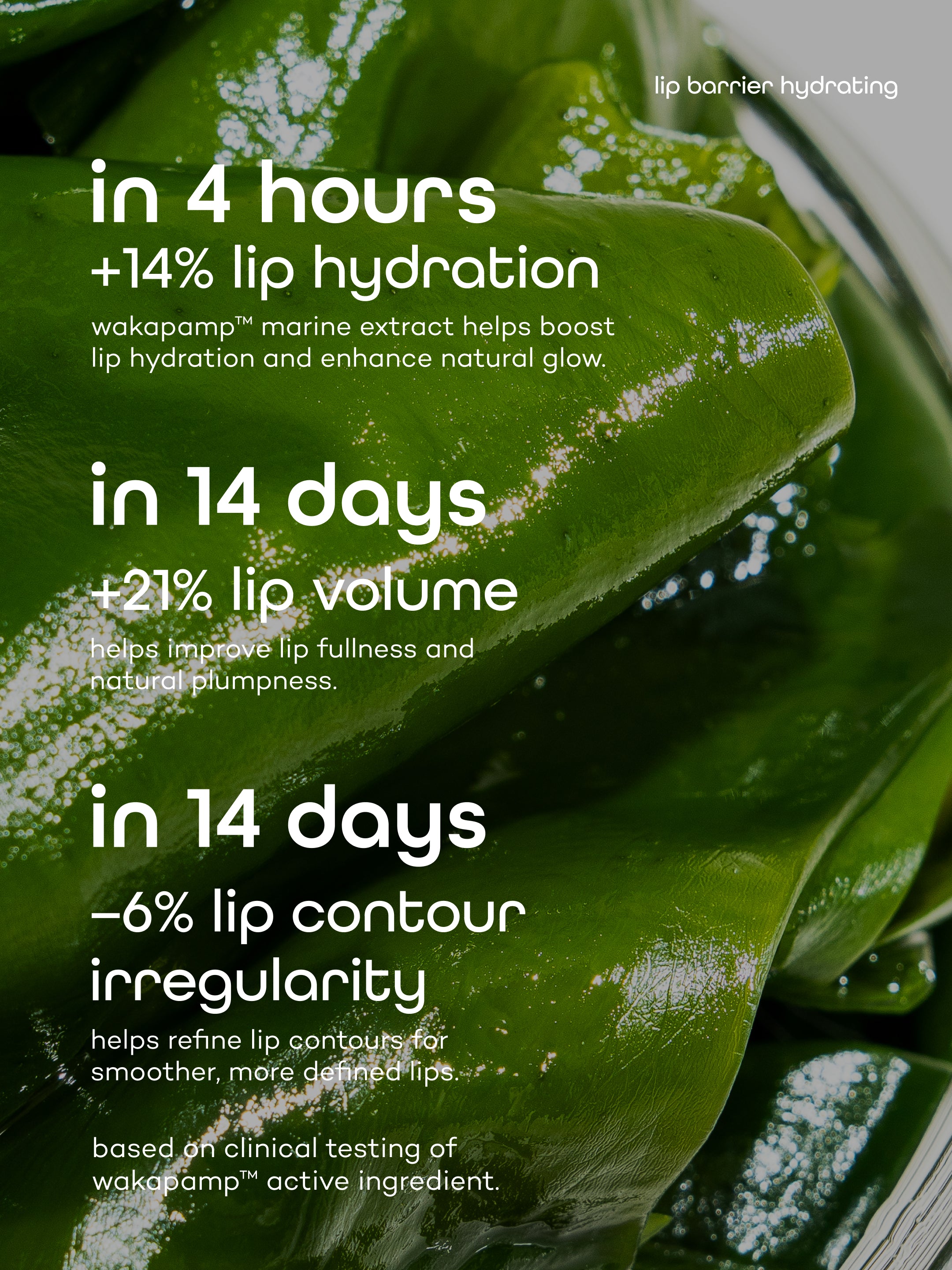 Lip care collection
