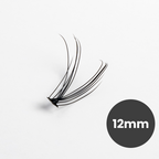 100 Premium Lash Clusters
