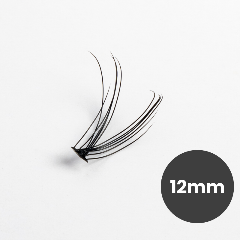 100 Premium Lash Clusters