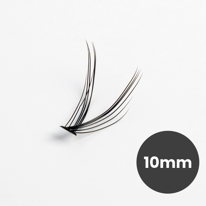 100 Premium Lash Clusters