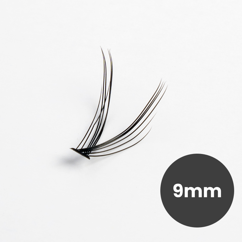 100 Premium Lash Clusters