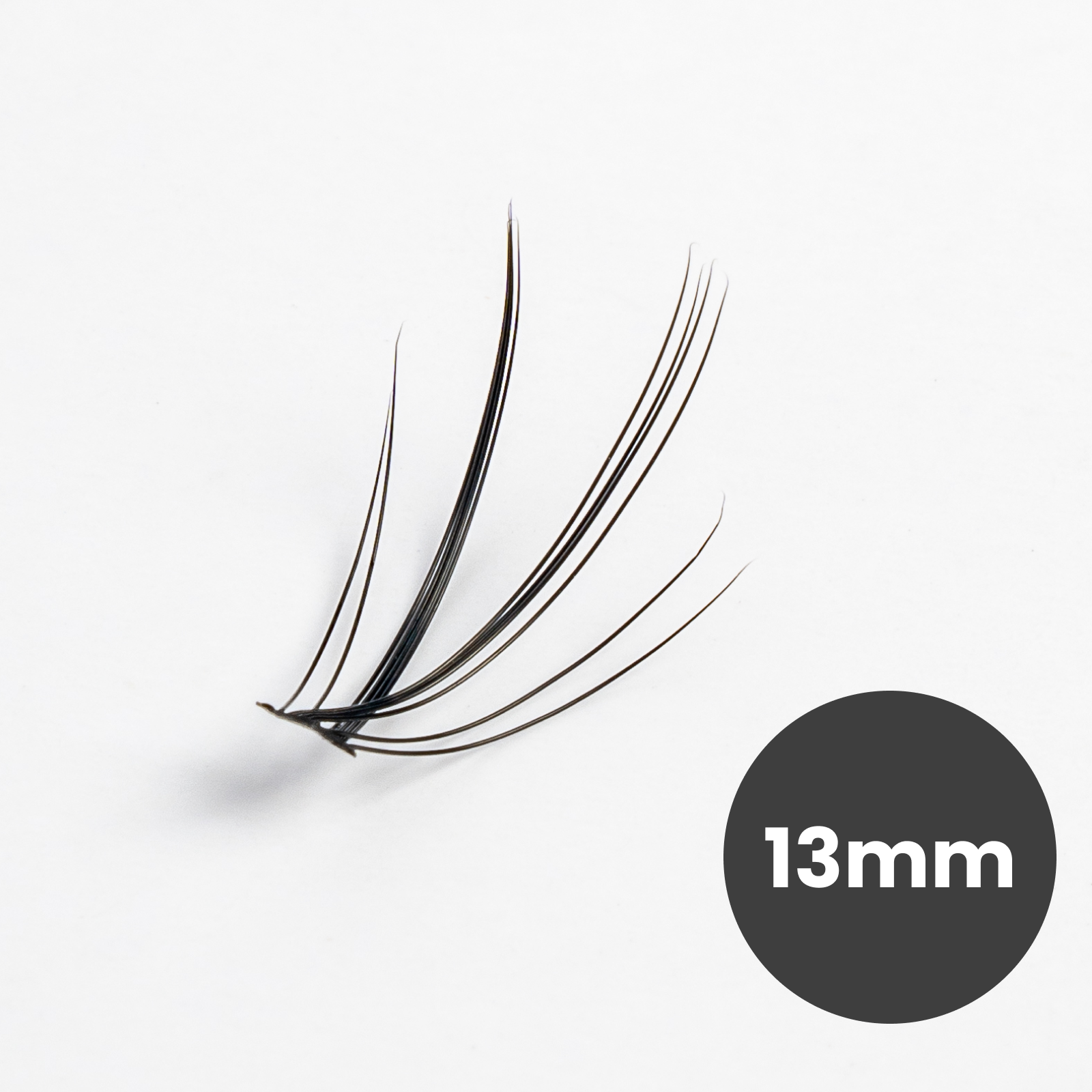 100 Premium Lash Clusters