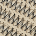 100 Premium Lash Clusters
