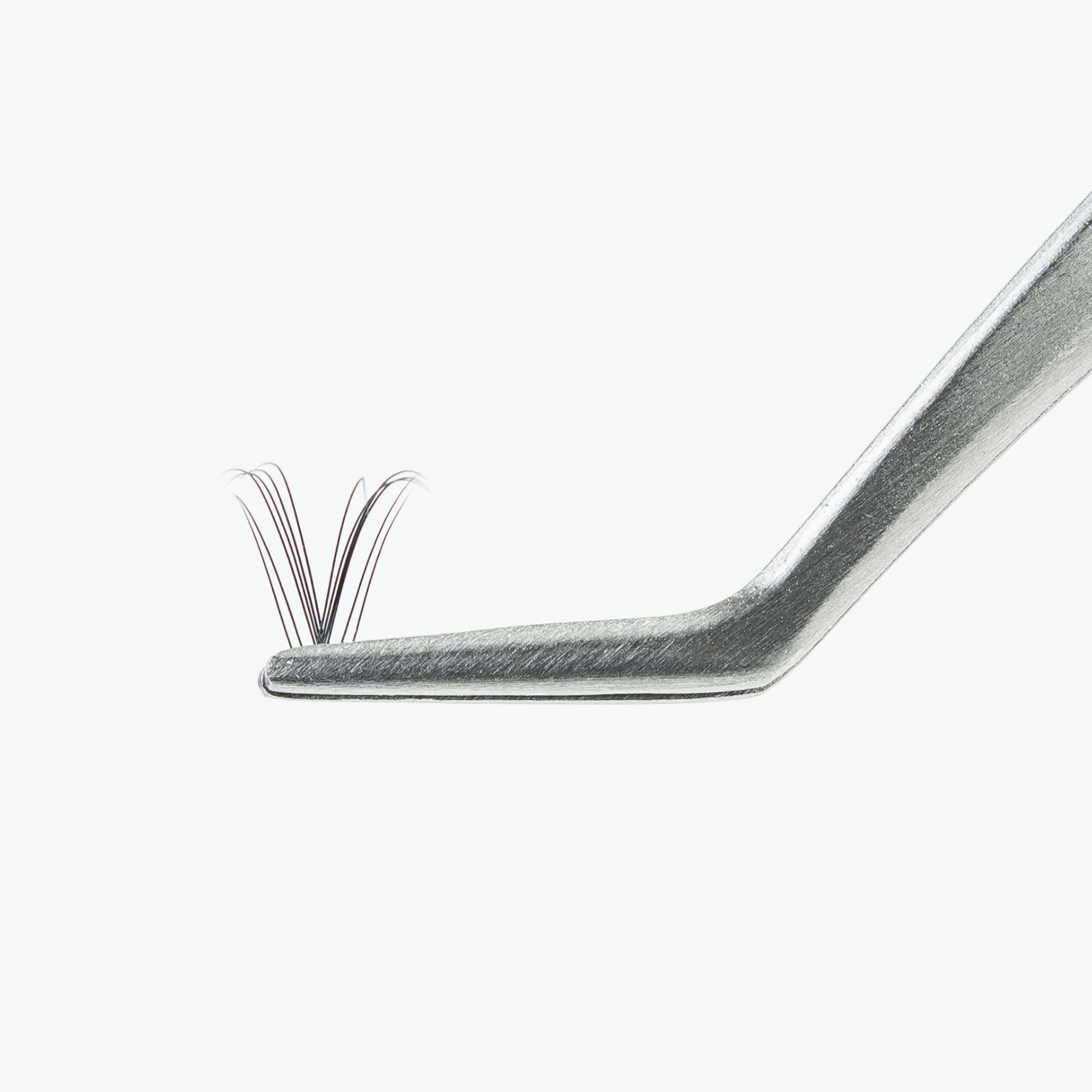 Lash Tweezers
